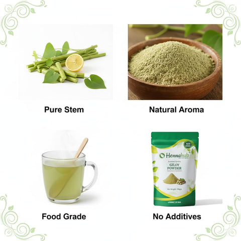 Hennahub Giloy Powder (Food Grade) 100gm Pack | Pure Tinospora cordifolia Stem Powder | Traditional Ingredient for Herbal Drinks, Smoothies & Kadha