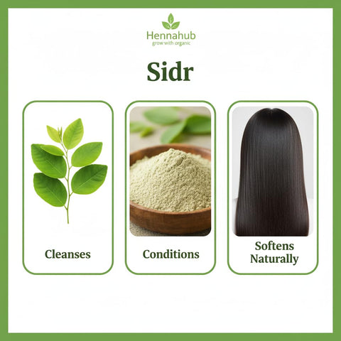 Hennahub Sidr Powder for Hair Care 100gm Pack | Pure Ziziphus Spina-Christi Leaf Powder | Natural Cleanser, Conditioning Herb & Herbal Shampoo Alternative
