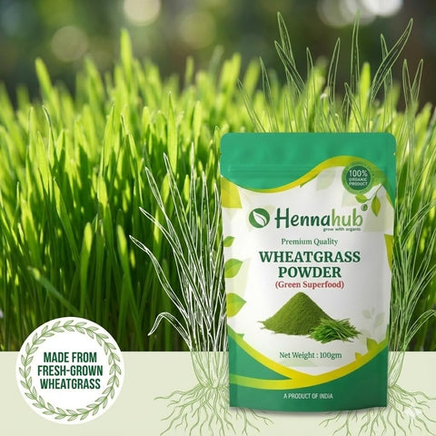 Hennahub Wheatgrass Powder 100gm (Food Grade) | Triticum aestivum / Gehun Ka Jawan Patta / Young Wheat Leaf Powder | Natural Green Superfood for Smoothies, Juices & Detox Drinks